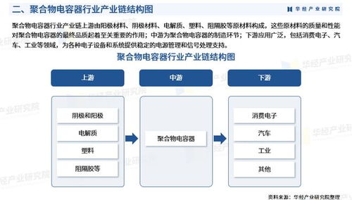 2025年中國聚合物電容器行業(yè)市場深度調(diào)查及投資前景預(yù)測報告