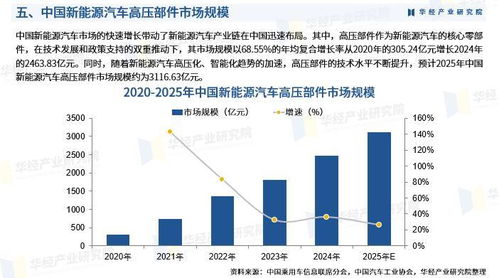 2025年中國新能源汽車高壓部件行業(yè)市場深度調(diào)查及投資前景預(yù)測報告
