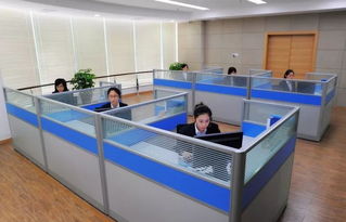 全天候溫暖守護(hù) 蒼南縣96345社會(huì)救助服務(wù)熱線正式開(kāi)通